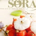soradesigns
