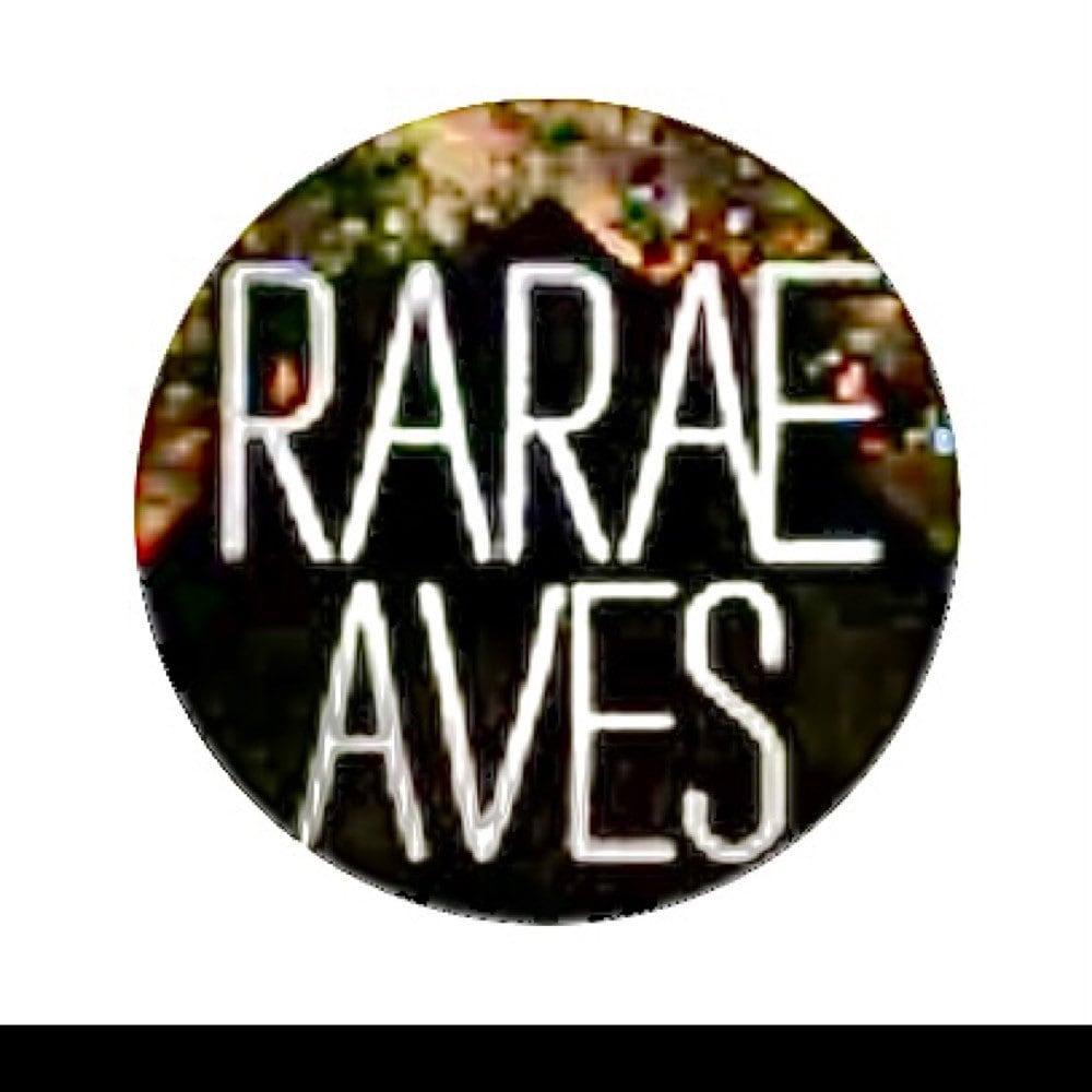 Office Home & Living 1940’s Arrow Fastener inc stapler retro desk supplies office home decor