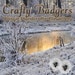 CraftyBadgers1