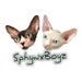 SphynxBoyz