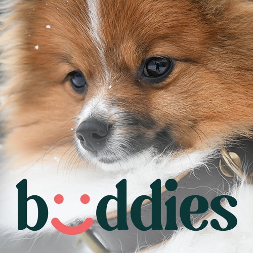 BuddiesCollars store logo