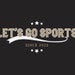 Let’s Go Sports Lounge Pillow