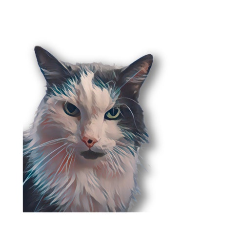 PawsitiveScent - Etsy