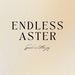 Endless Aster