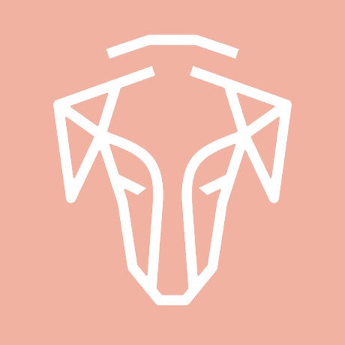 Stylish Accessories For Dogs Their Humans 3 Ze Sklepu