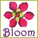 Bloom Arts