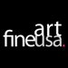 Fine Art USA