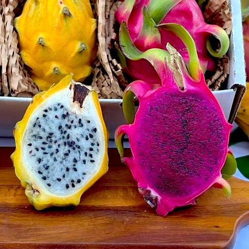 Red Dragon Fruit White Flesh  Red Pitahaya Box - Tropical Fruit Box