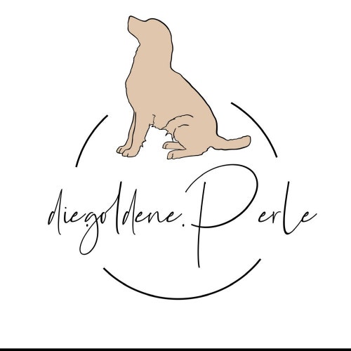 DieGoldenePerle