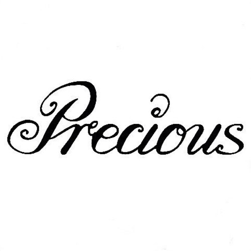 PreciousProject store logo
