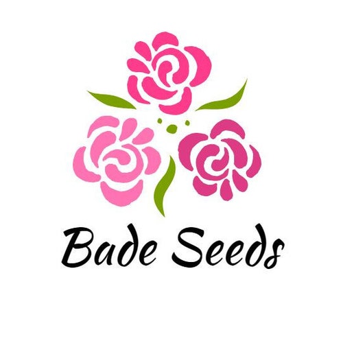 Badeseeds store logo