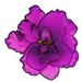 Colleen McGraw