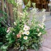 Garden and Grace Fine Florals and Event Decor