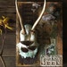 InnerWildDesigns