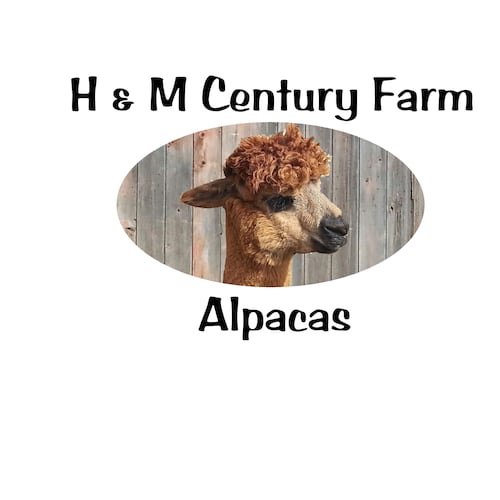 Integrity Alpacas & Fiber