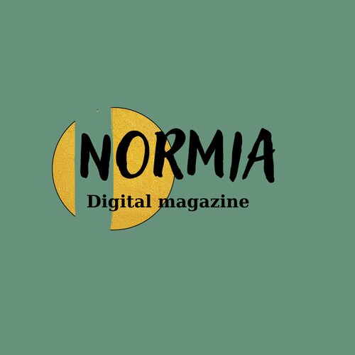 Normmagazine store logo