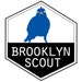 Brooklyn Scout