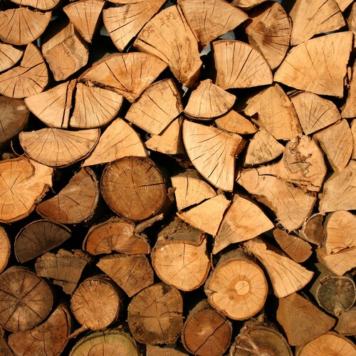 BigWoodWorks store logo