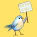 RallyBirdBrand