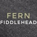 Fern Fiddlehead