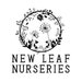 Owner of <a href='https://www.etsy.com/uk/shop/Newleafnurseries?ref=l2-about-shopname' class='wt-text-link'>Newleafnurseries</a>