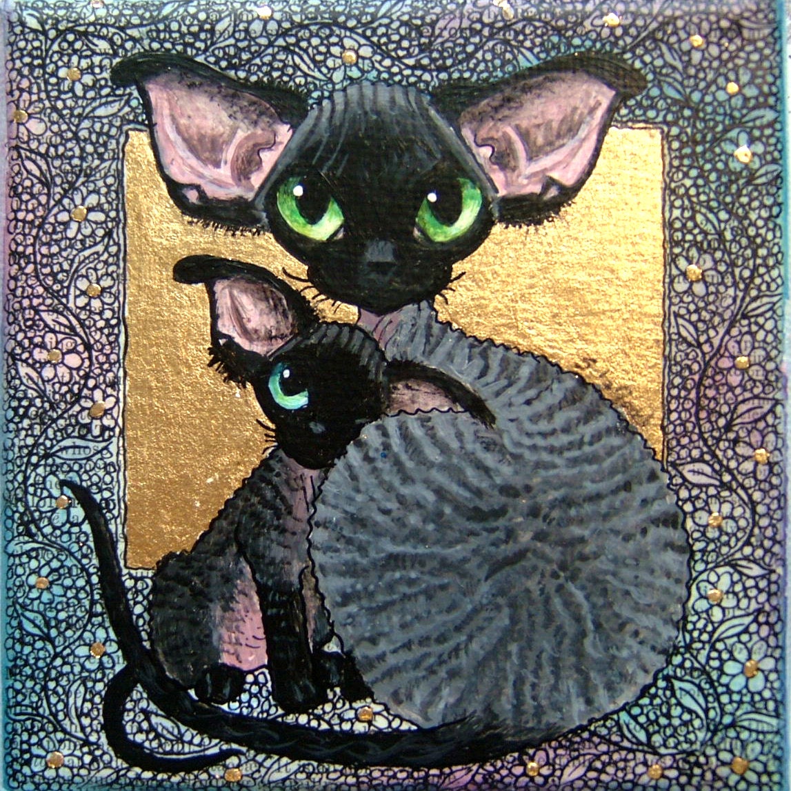 Devon Rex Suzanne