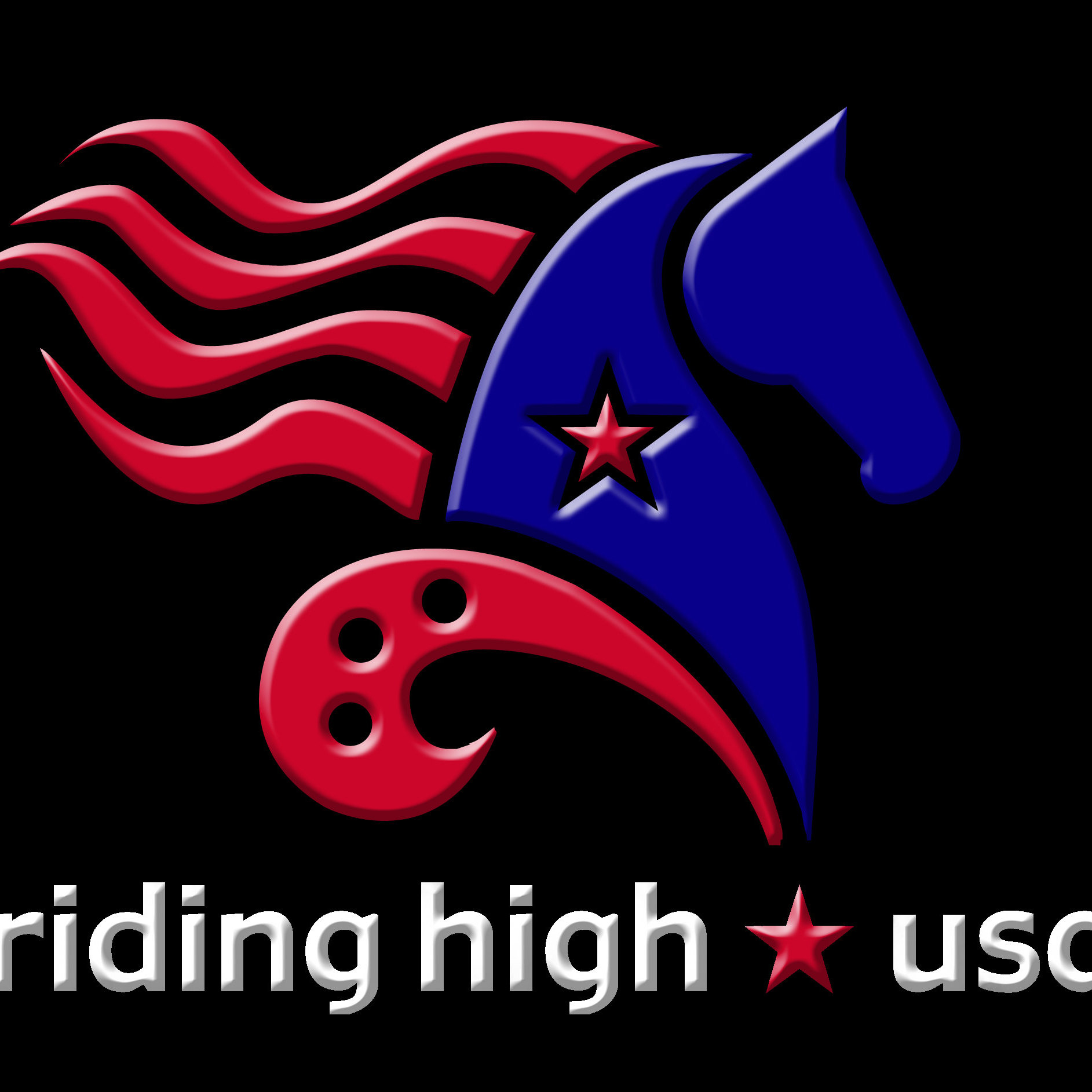 RHUSACustomLeather Etsy