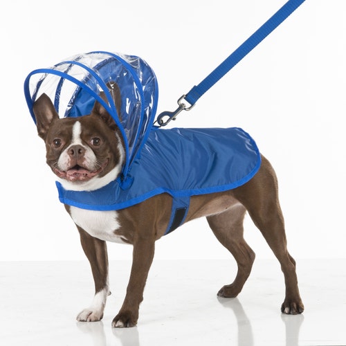 Buy Dog Raincoat Yellow Rainbow Line Online in India Etsy