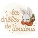 lesdrolesdedoudous37