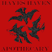 Holli Hayes-Blevins