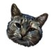 Ohmykittenshop
