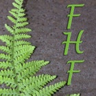 FernHollowFinds