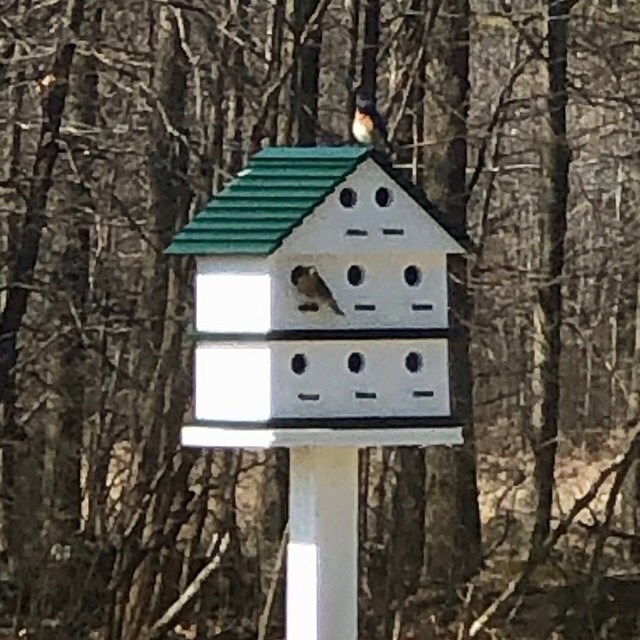 JerrysBirdhouses Etsy