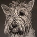 EtsyPetShopGirl