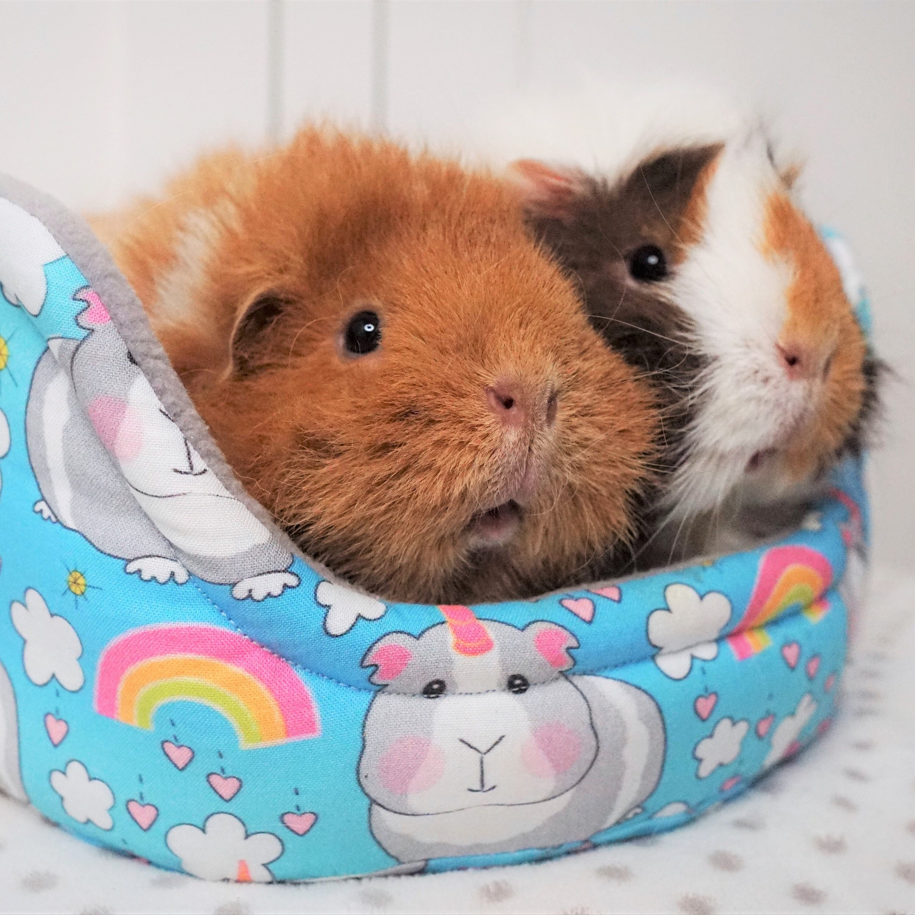 Make Your Own Guinea Pig Cuddle Cups Digital Sewing Pattern pic