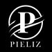 Pieliz Auto Professionals