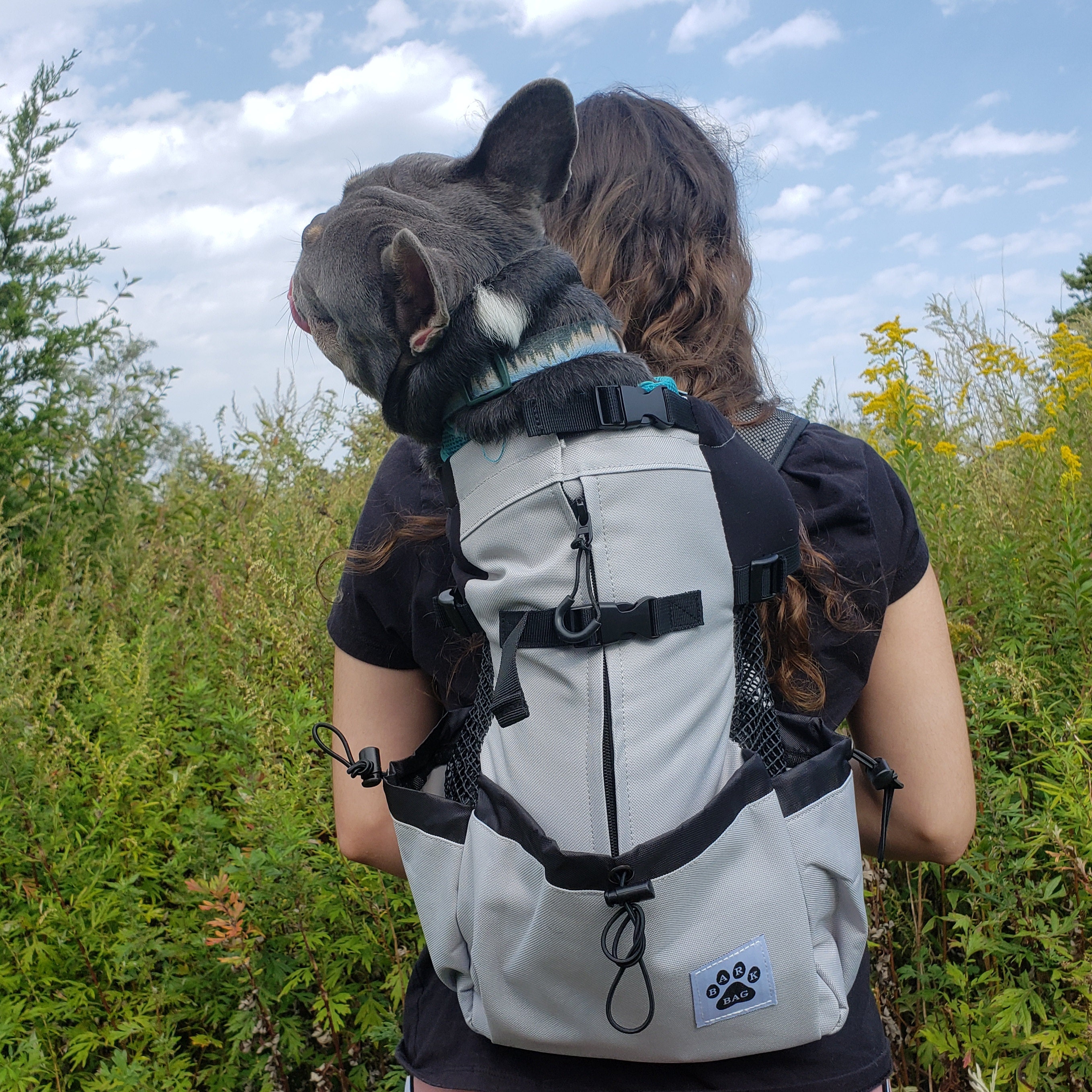 bark dog backpack