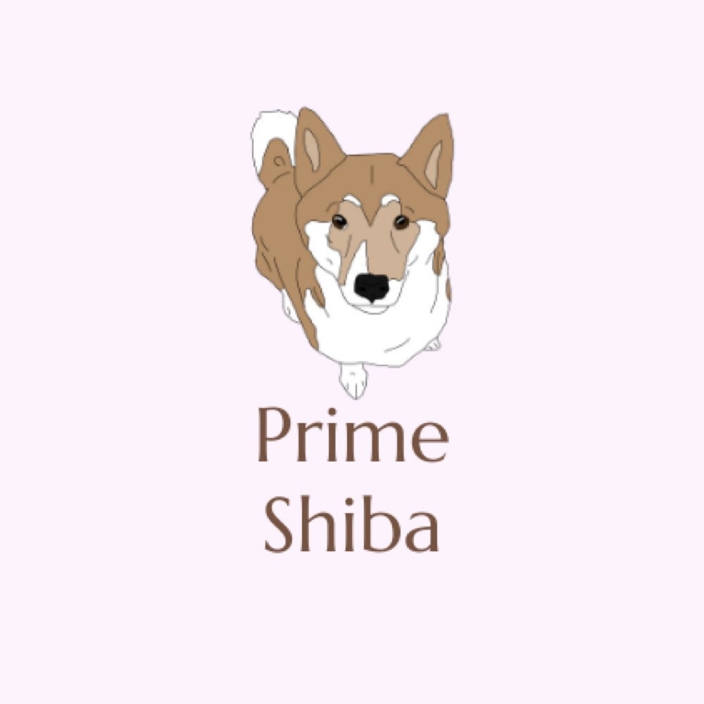 Haku the Shikoku Ken 15in Dog Plush – Prime Shiba