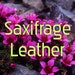 Saxifrage Leather