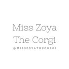 MissZoyaTheCorgi