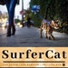 Surfer Cat Mav