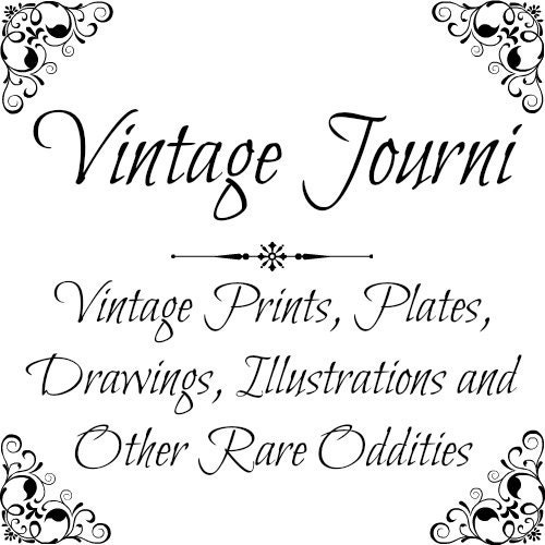 Vintage Prints Drawings Illustrations and by VintageJourniShop