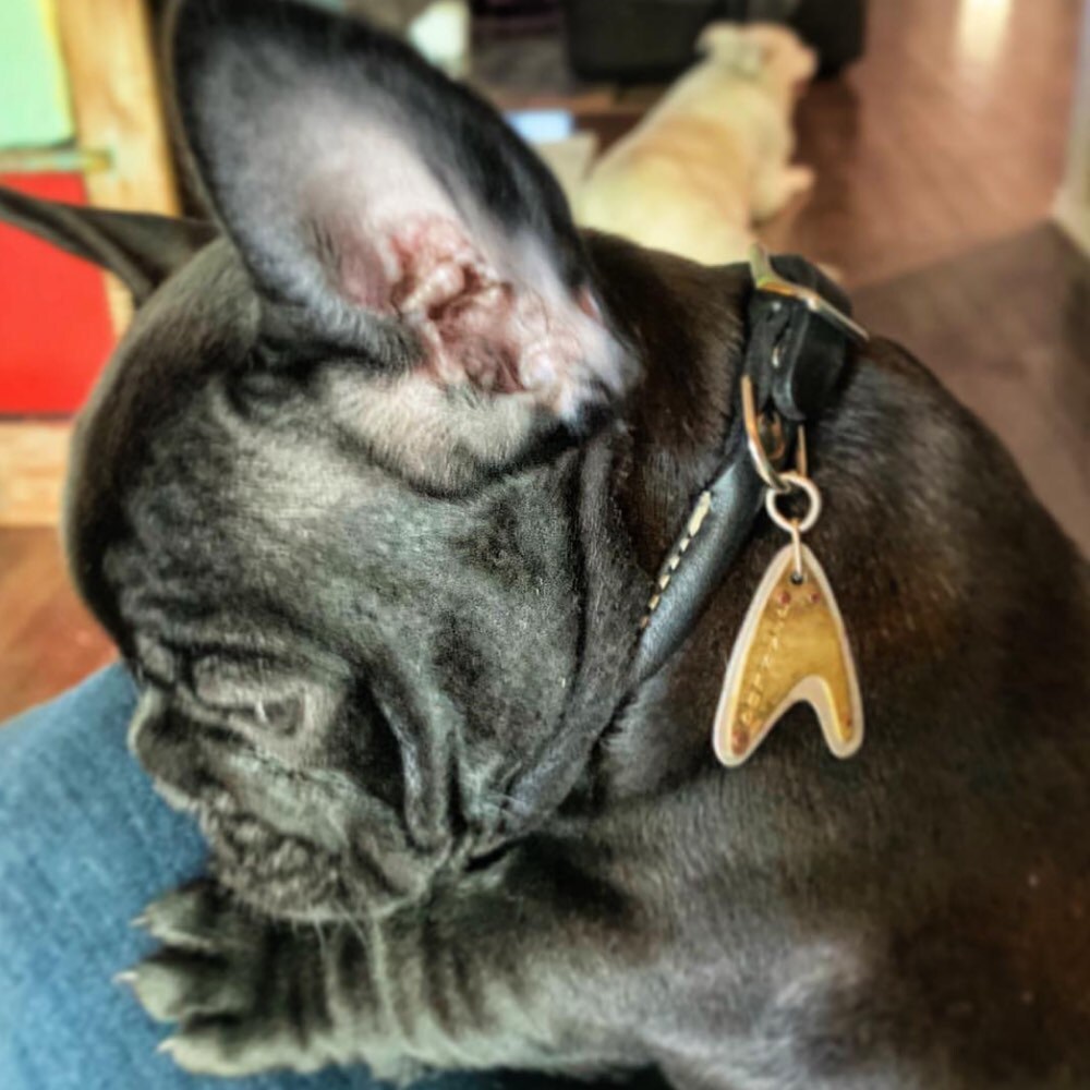 Wu Tang Clan Pet Tag Etsy