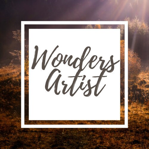 WondersArtist store logo