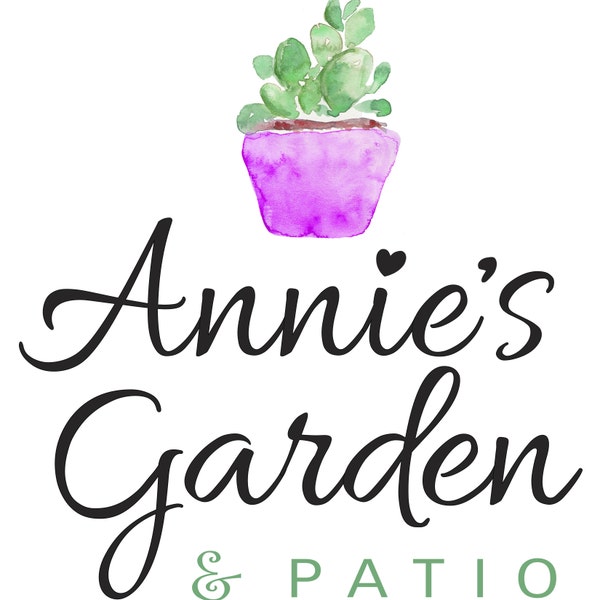 100 Succulent Cuttings, Colorful Succulent Cuttings, Succulent