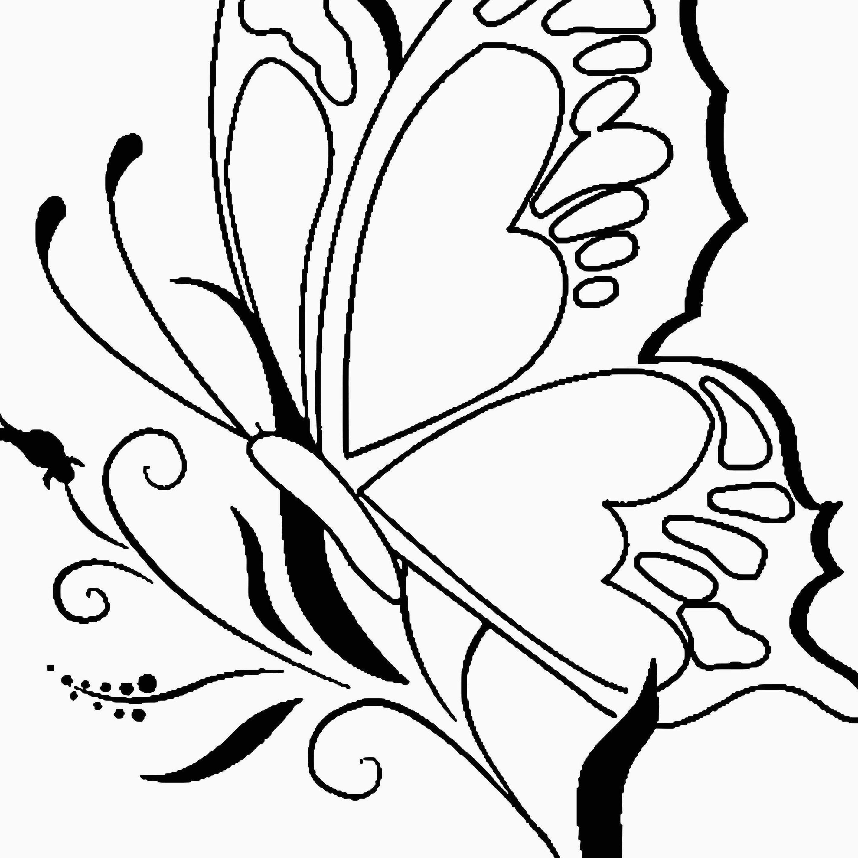 Рисунок Бабочки Трафарет - 68 фото