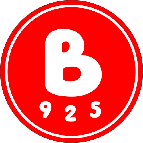 BSILVER925 store logo