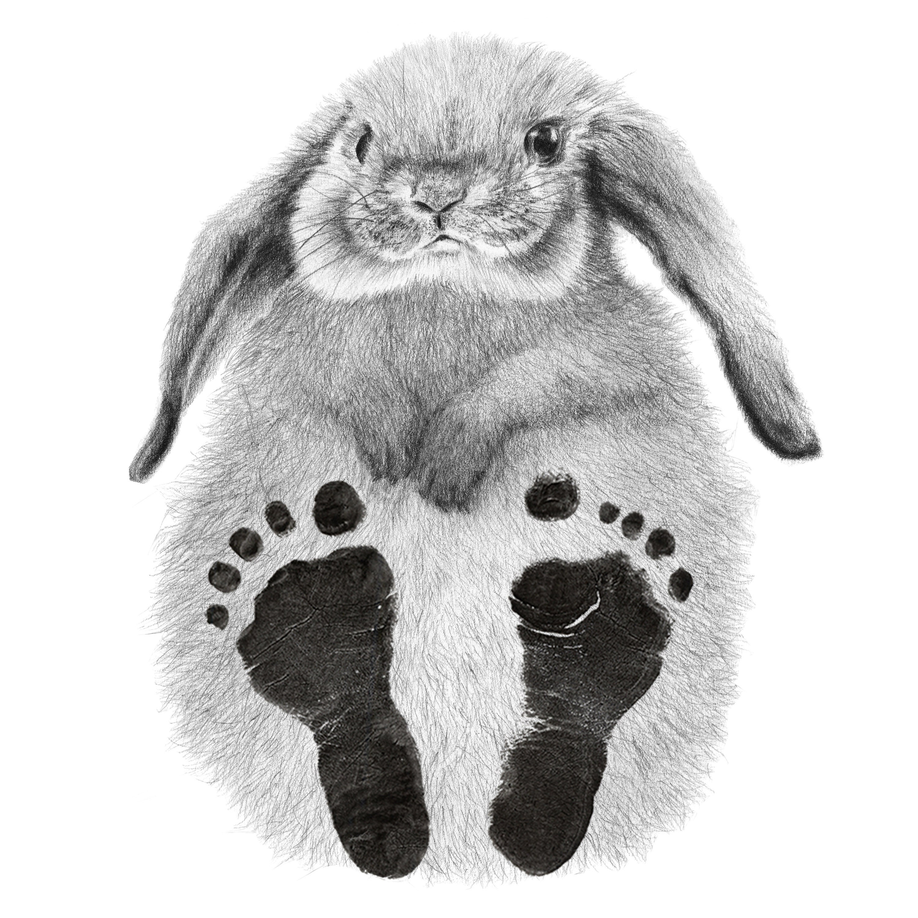 Rabbit Baby Footprint Kit