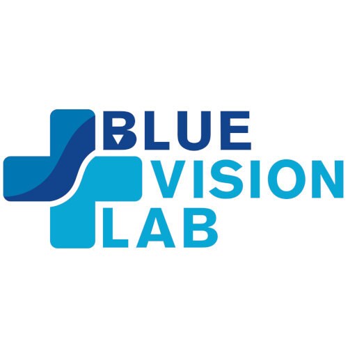 BlueVisionLab store logo