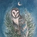 cyanowl